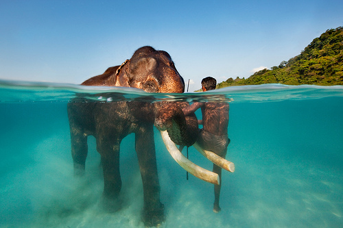 Holidays in Andaman Nicobar