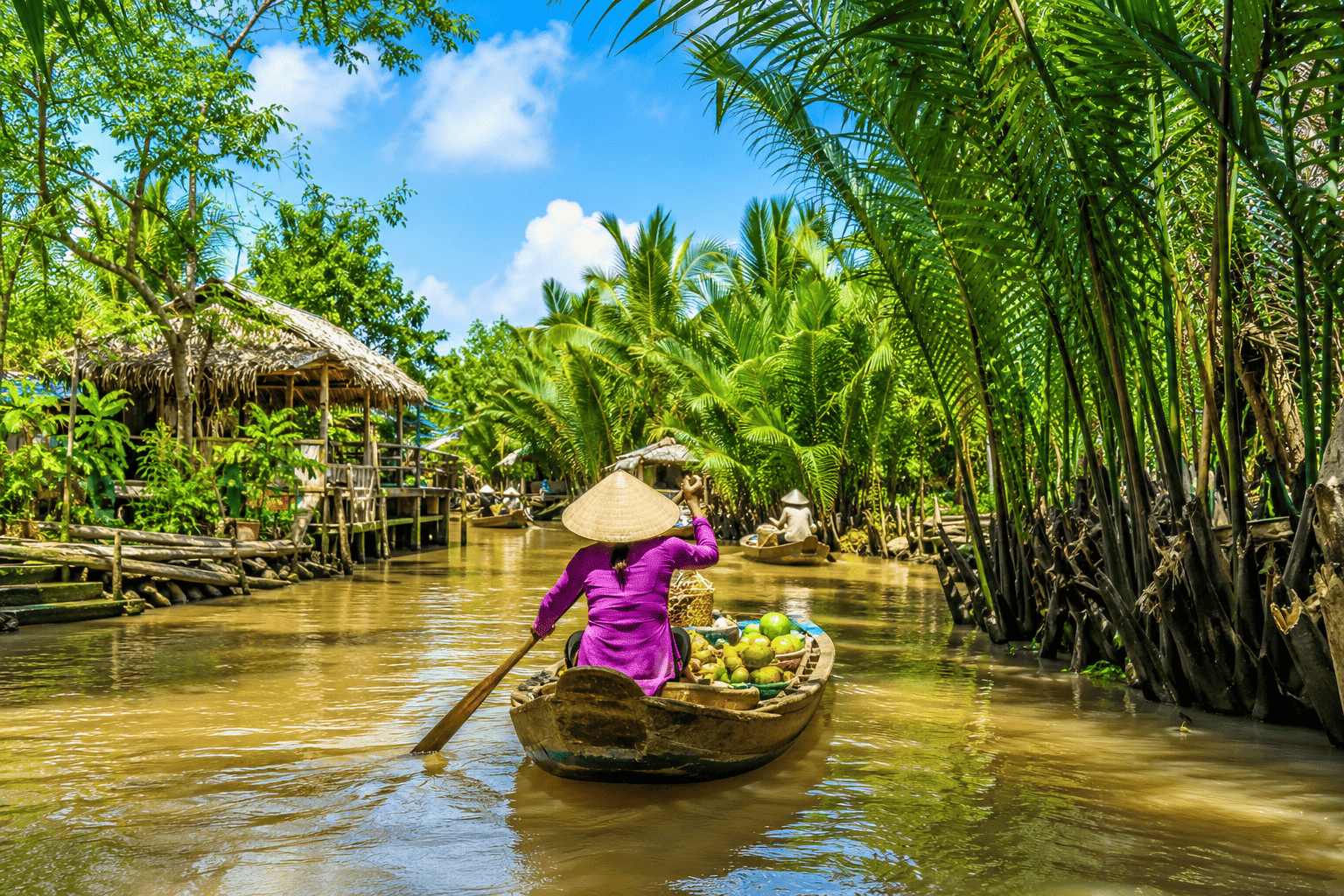Ho Chi Minh and Mekong Delta holiday package