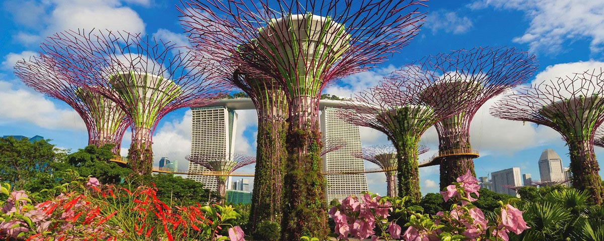 Supergrove Trees, Gardens by the bay