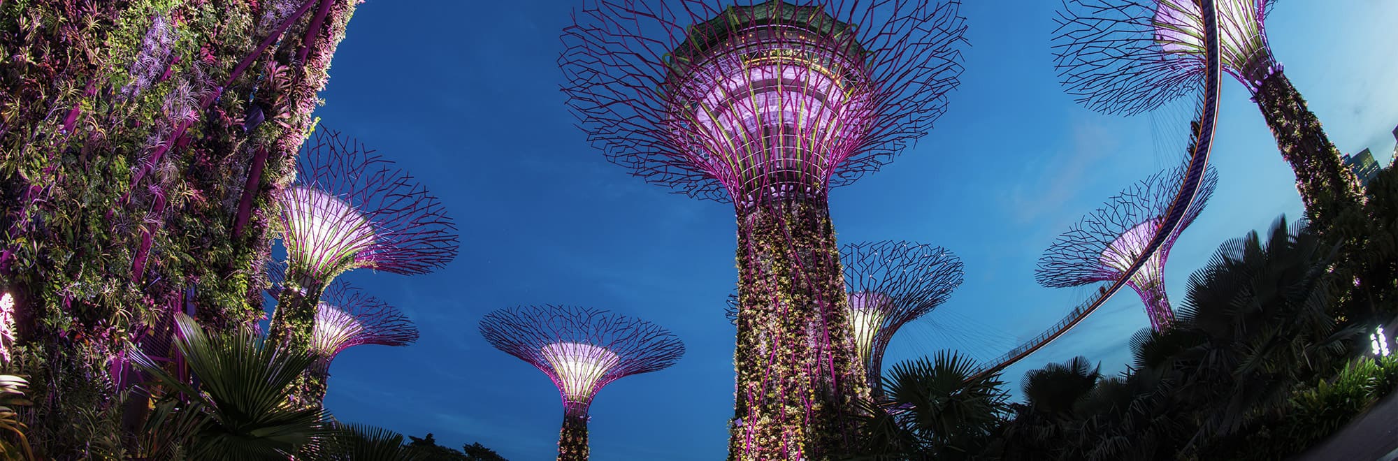Supergrove Trees, Gardens by the bay